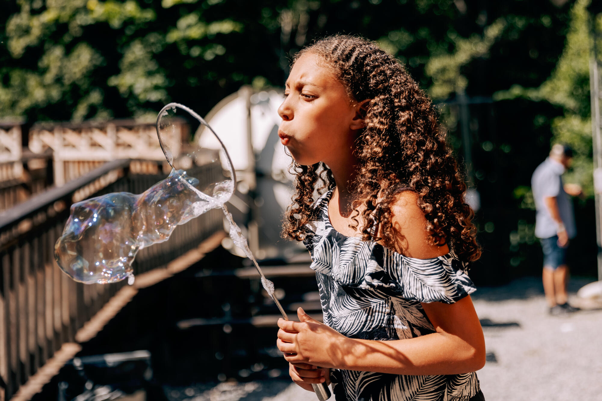 Vårens program och aktiviteter